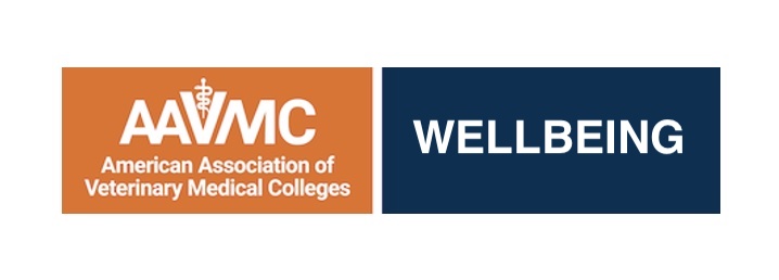 Introduction to Systemic Wellbeing copy 2